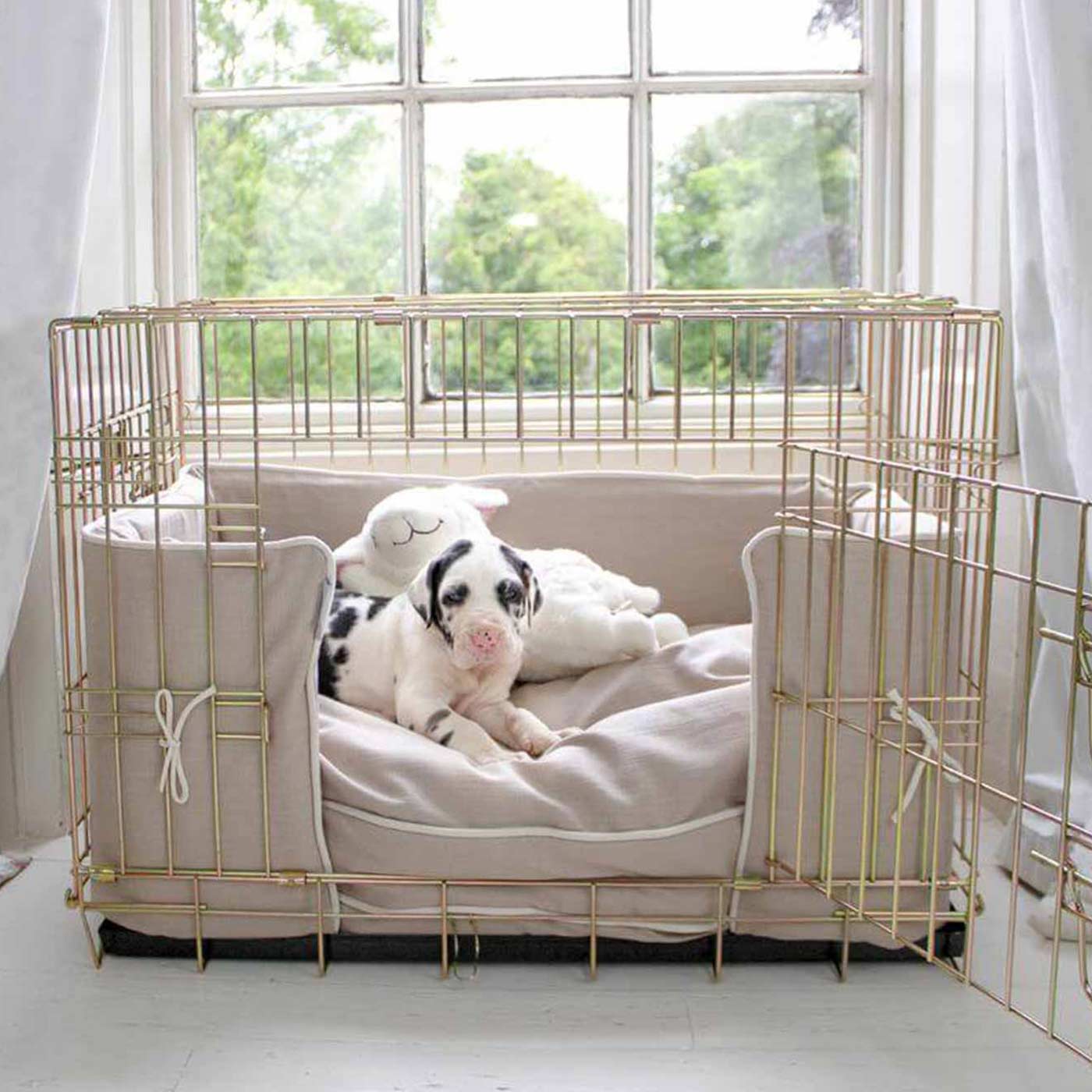 Dog cage hot sale and bed