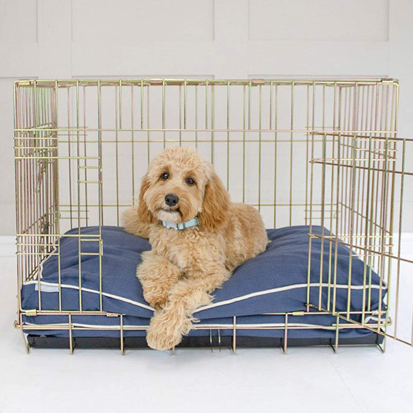Dog Cushion in Savanna Indigo by Lords & Labradors