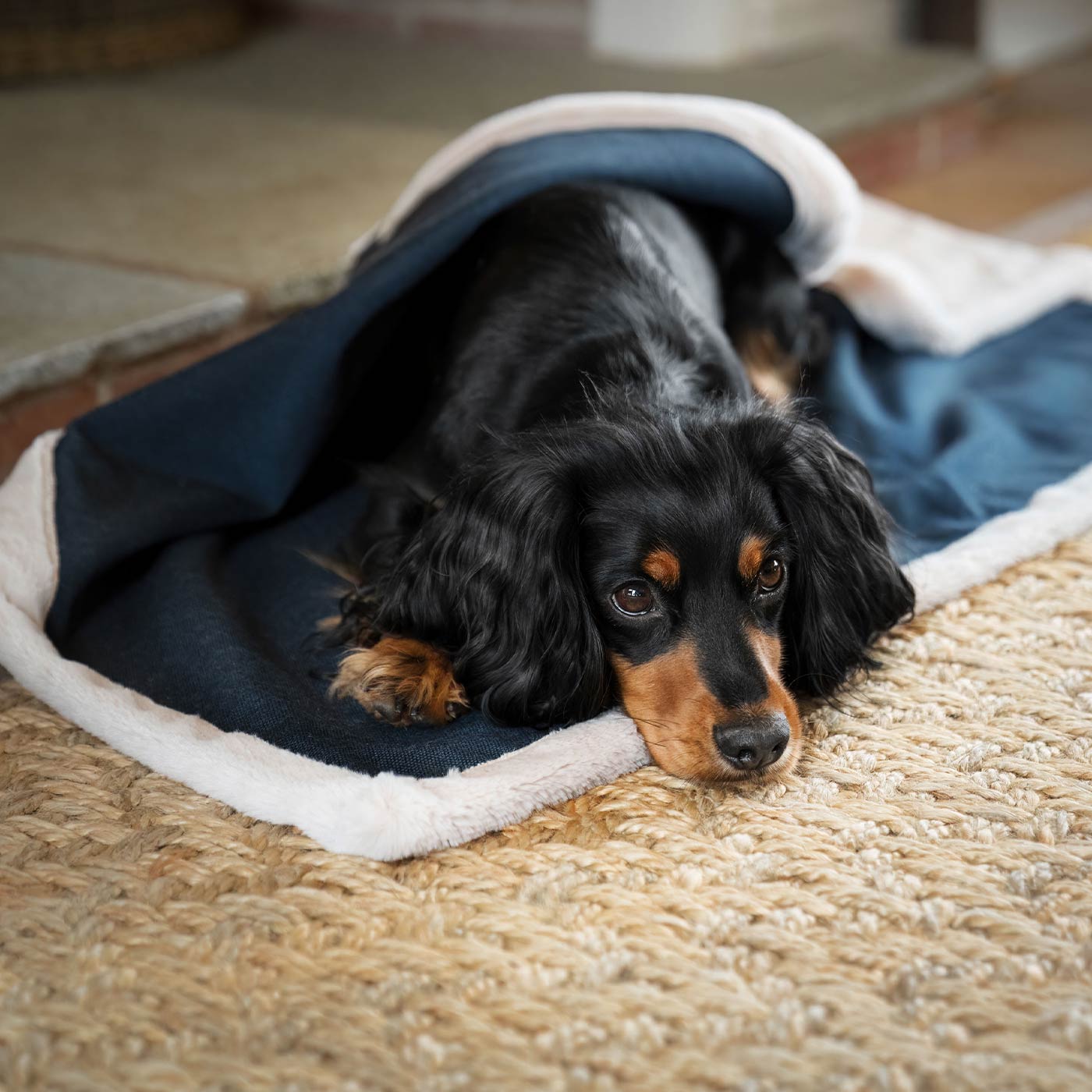 Present your furry friend with our luxuriously thick, plush blanket for your pet. Featuring a reverse side with hardwearing woven fabric handmade in Italy for the perfect high-quality pet blanket! Essentials Twill Blanket In Denim, Available now at Lords & Labradors US