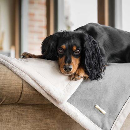 Present your furry friend with our luxuriously thick, plush blanket for your pet. Featuring a reverse side with hardwearing woven fabric handmade in Italy for the perfect high-quality pet blanket! Essentials Twill Blanket In Slate, Available now at Lords & Labradors US