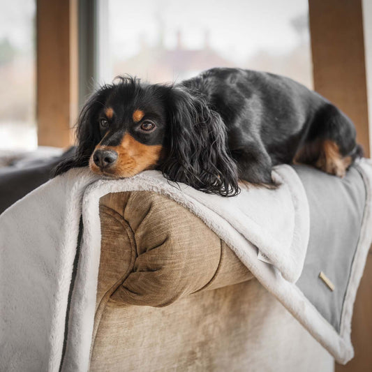 Present your furry friend with our luxuriously thick, plush blanket for your pet. Featuring a reverse side with hardwearing woven fabric handmade in Italy for the perfect high-quality pet blanket! Essentials Twill Blanket In Slate, Available now at Lords & Labradors US
