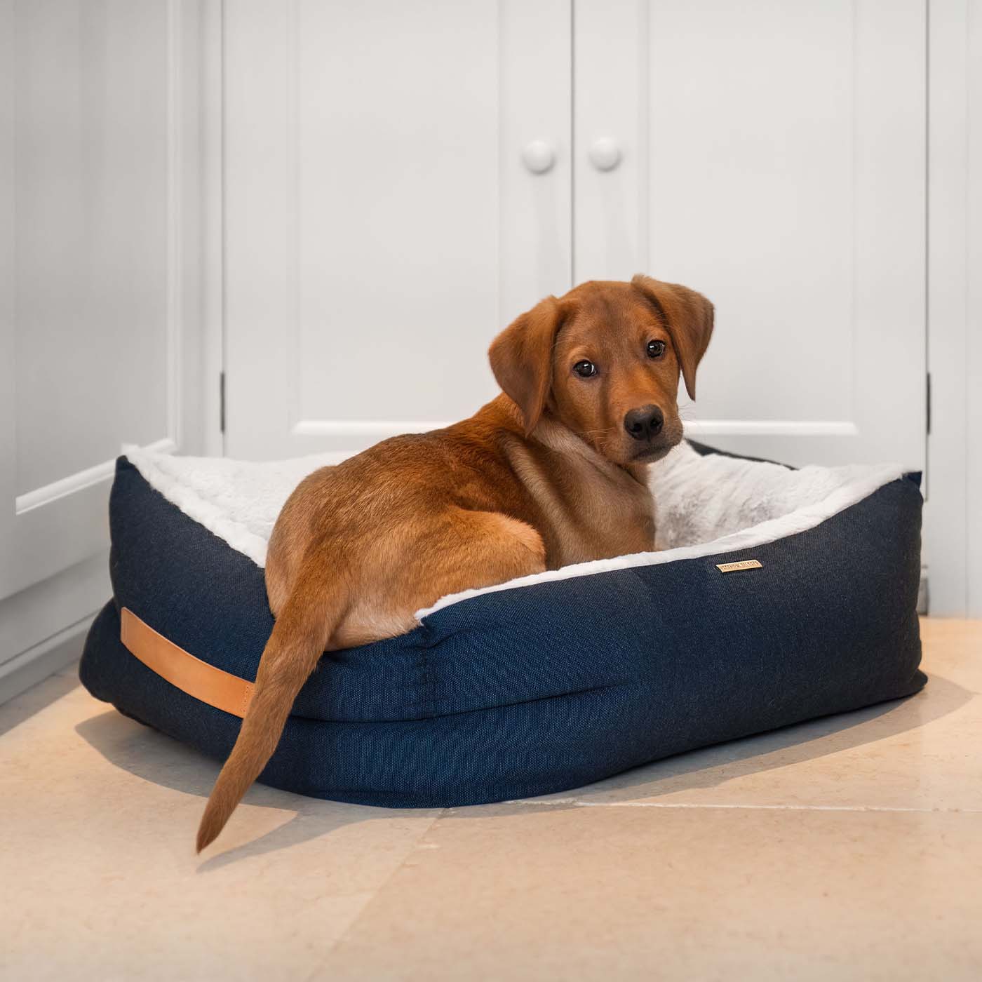 Discover This Luxurious Box Bed For Dogs, Made Using Beautiful Twill Fabric To Craft The Perfect Dog Box Bed! In Stunning Navy Denim, Available Now at Lords & Labradors US