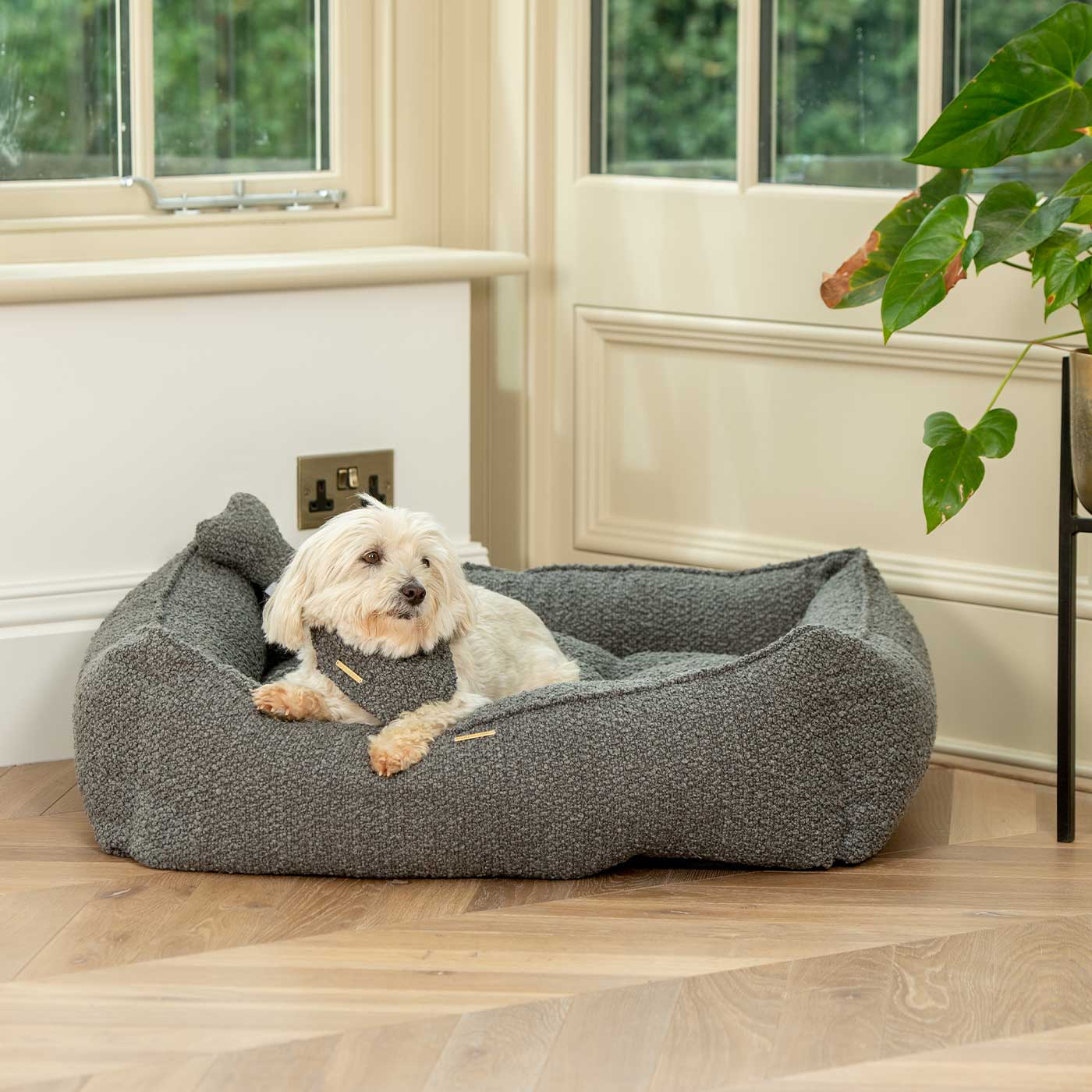 Modern dog clearance bed