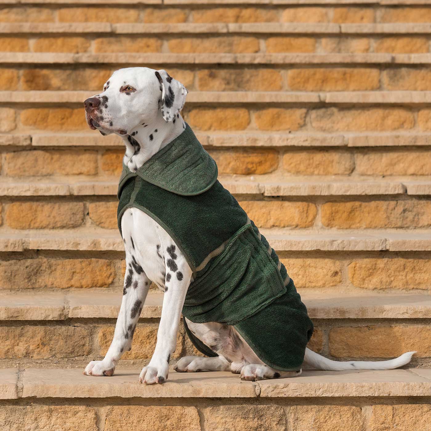 Introducing the ultimate bamboo dog drying coat in beautiful fir green, made from luxurious bamboo to aid sensitive skin featuring adjustable Velcro neck and waist fastening with super absorbent material for easy pet drying! Available now at Lords & Labradors US, In five sizes and four colors to suit all breeds!