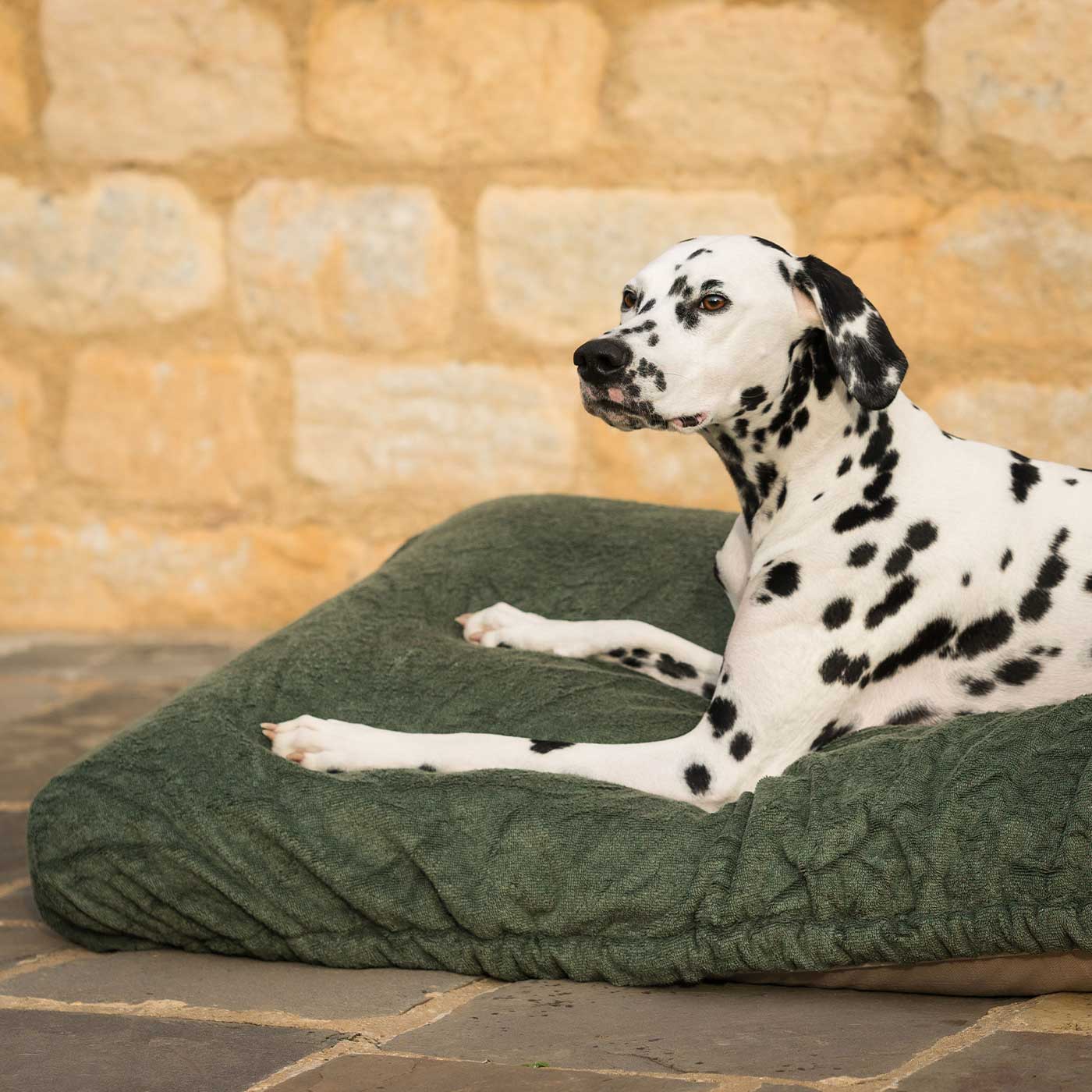 Introducing the ultimate bamboo dog drying cushion cover in beautiful fir green, made from luxurious bamboo to aid sensitive skin featuring elasticated hem for a snug fit with super absorbent material for easy pet drying! Available now at Lords & Labradors US, In three sizes and four colors to suit all breeds!