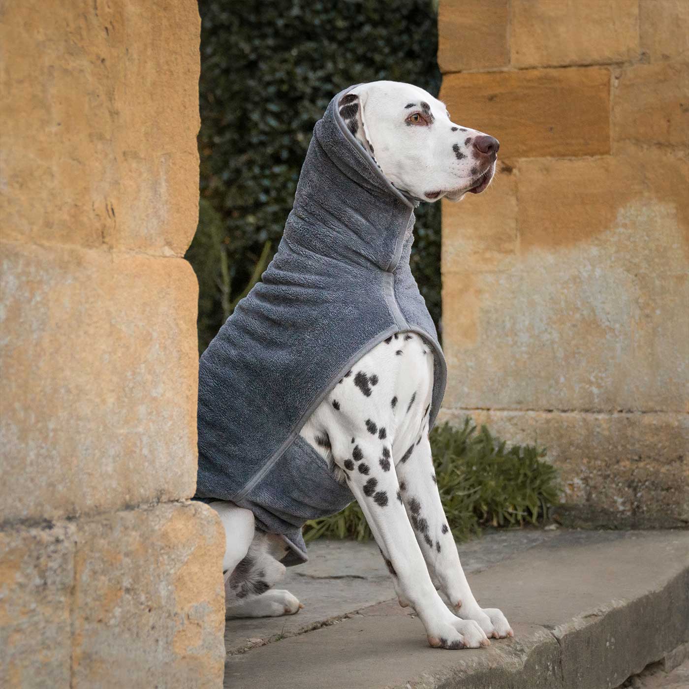 Introducing the ultimate bamboo dog drying coat in beautiful grey Gun Metal, made from luxurious bamboo to aid sensitive skin featuring adjustable Velcro neck and waist fastening with super absorbent material for easy pet drying! Available now at Lords & Labradors US, In five sizes and four colors to suit all breeds!