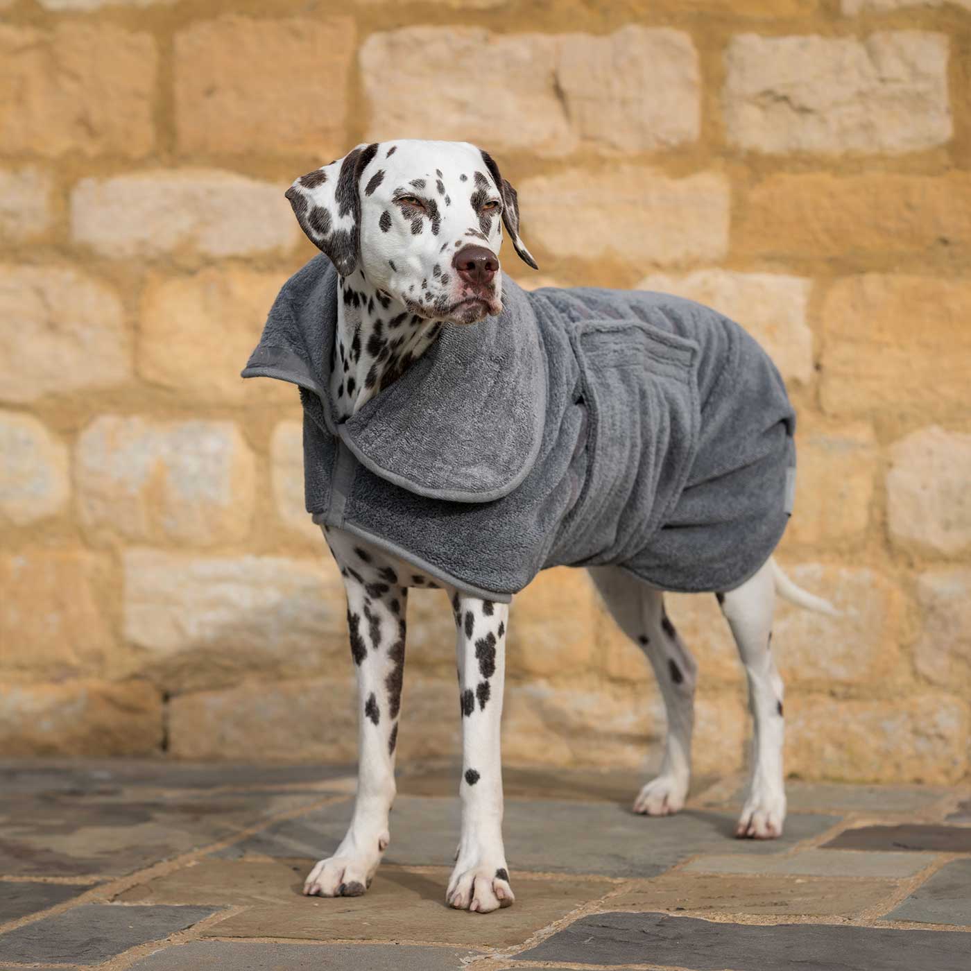 Introducing the ultimate bamboo dog drying coat in beautiful grey Gun Metal, made from luxurious bamboo to aid sensitive skin featuring adjustable Velcro neck and waist fastening with super absorbent material for easy pet drying! Available now at Lords & Labradors US, In five sizes and four colors to suit all breeds!