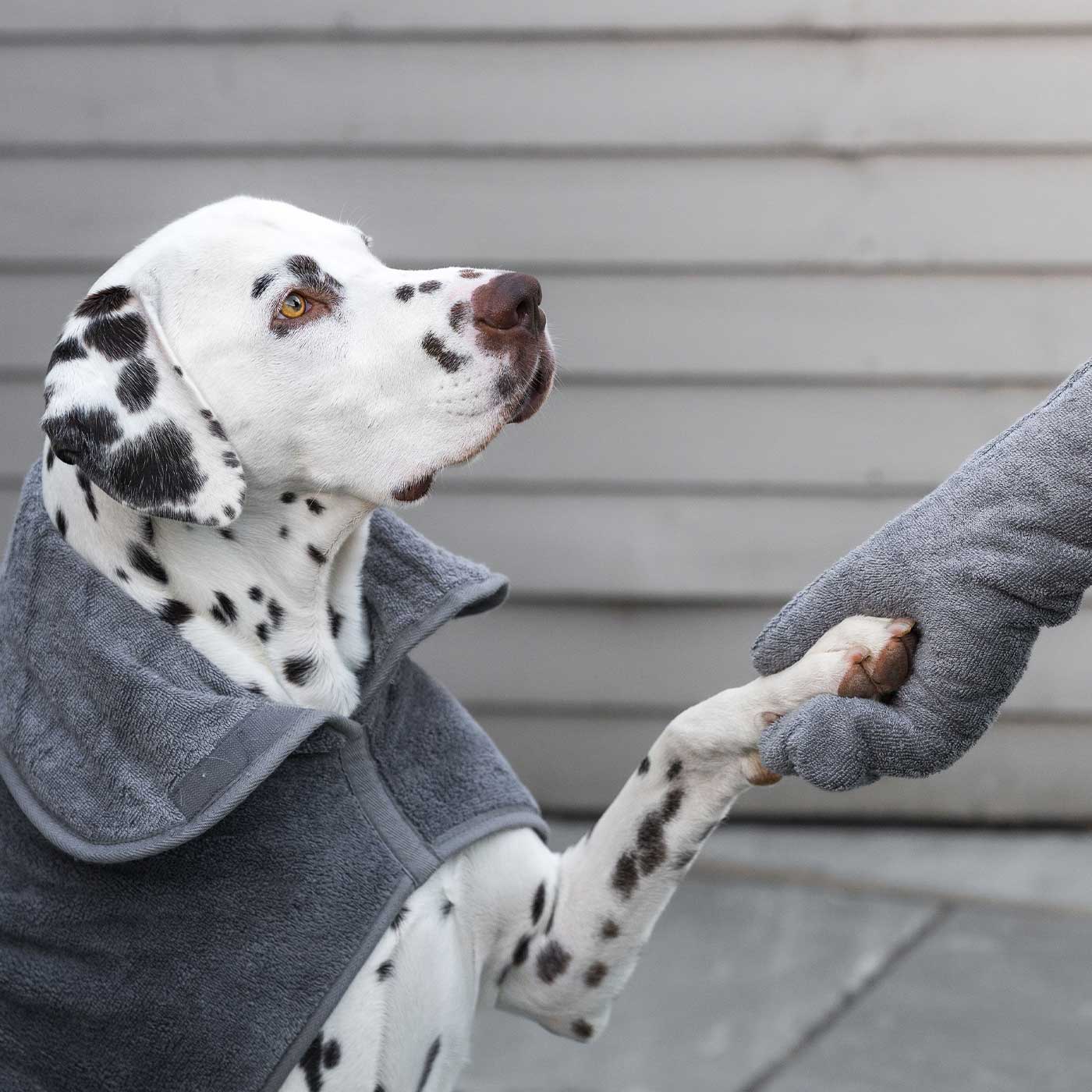 Introducing the ultimate bamboo dog drying mitts in beautiful grey Gun Metal, made from luxurious bamboo to aid sensitive skin featuring universal size to fit all with super absorbent material for easy pet drying! The perfect dog drying gloves, available now at Lords & Labradors US, In four colors!