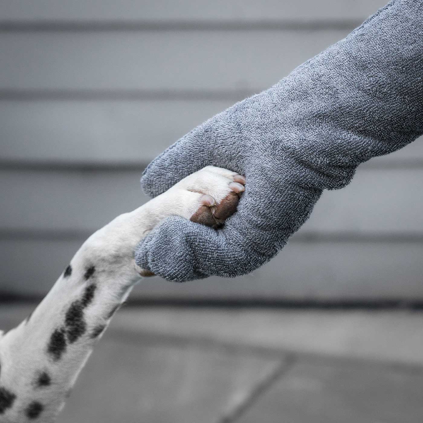 Introducing the ultimate bamboo dog drying mitts in beautiful grey Gun Metal, made from luxurious bamboo to aid sensitive skin featuring universal size to fit all with super absorbent material for easy pet drying! The perfect dog drying gloves, available now at Lords & Labradors US, In four colors!