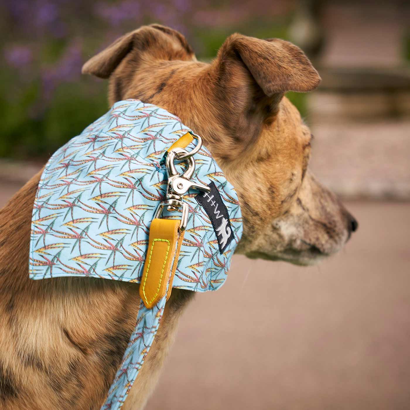 [color:pheasant] Set & accessorize your pooch ready for a stylish dog walk with Hiro + Wolf X L&L Dog Bandana, the perfect dog walking accessory! Made using strong webbing lining to provide extra strength! Available in 3 stylish designs and 2 sizes at Lords & Labradors US