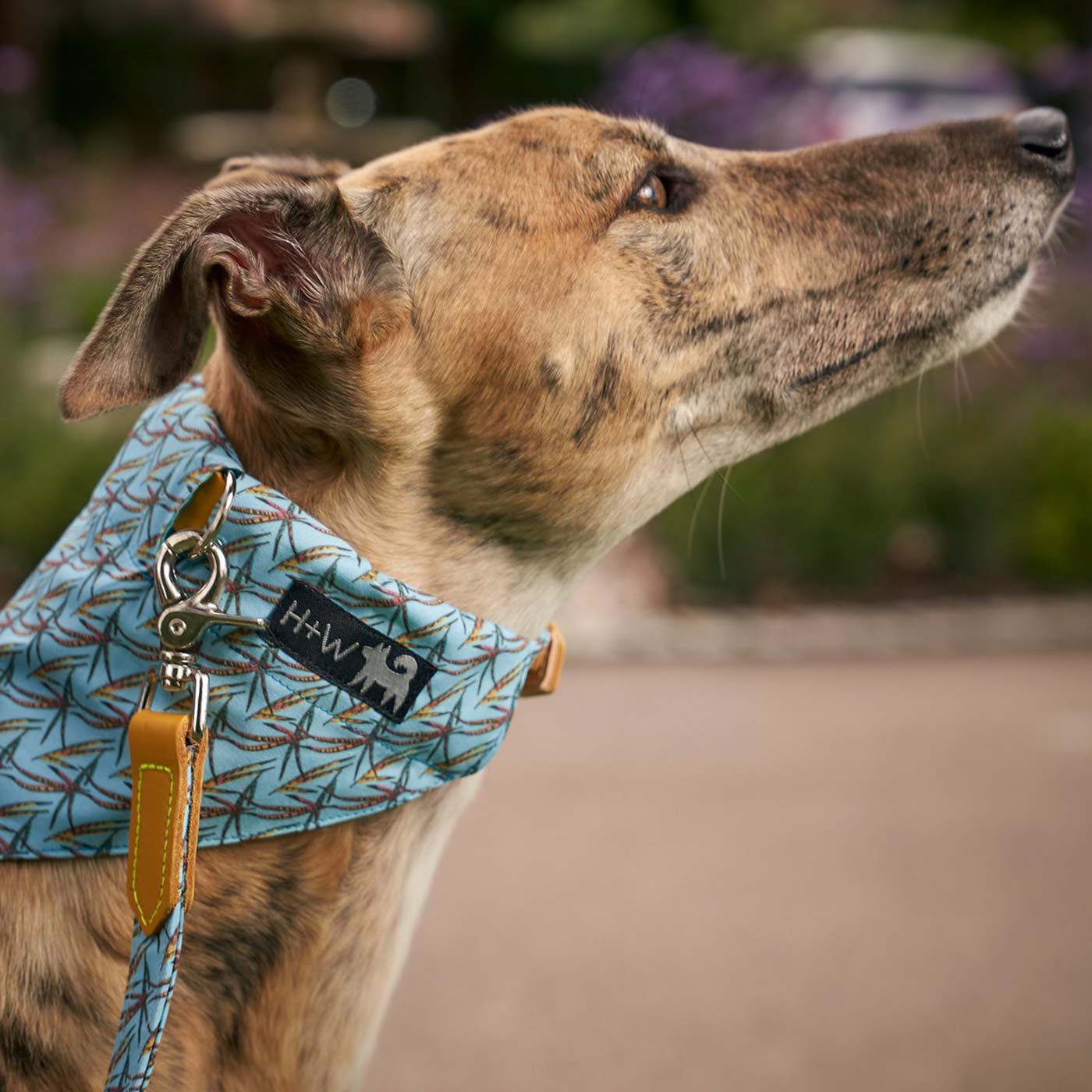 [color:pheasant] Set & accessorize your pooch ready for a stylish dog walk with Hiro + Wolf X L&L Dog Bandana, the perfect dog walking accessory! Made using strong webbing lining to provide extra strength! Available in 3 stylish designs and 2 sizes at Lords & Labradors US
