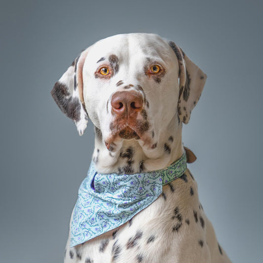 [color:stag] Set & accessorize your pooch ready for a stylish dog walk with Hiro + Wolf X L&L Dog Bandana, the perfect dog walking accessory! Made using strong webbing lining to provide extra strength! Available in 3 stylish designs and 2 sizes at Lords & Labradors US