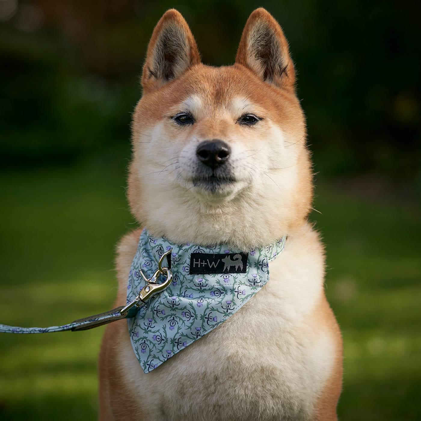 [color:stag] Set & accessorize your pooch ready for a stylish dog walk with Hiro + Wolf X L&L Dog Bandana, the perfect dog walking accessory! Made using strong webbing lining to provide extra strength! Available in 3 stylish designs and 2 sizes at Lords & Labradors US