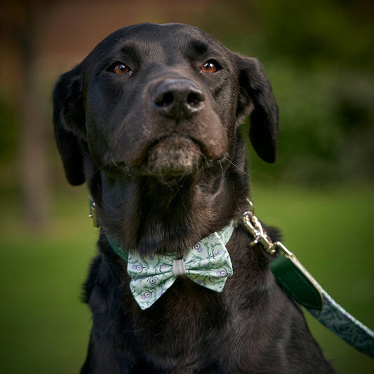 [color:stag] Set & accessorize your pooch ready for a stylish dog walk with Hiro + Wolf X L&L Dog Bow Tie, the perfect dog walking accessory! Made using strong webbing lining to provide extra strength! Available in 3 stylish designs and one sizes at Lords & Labradors US