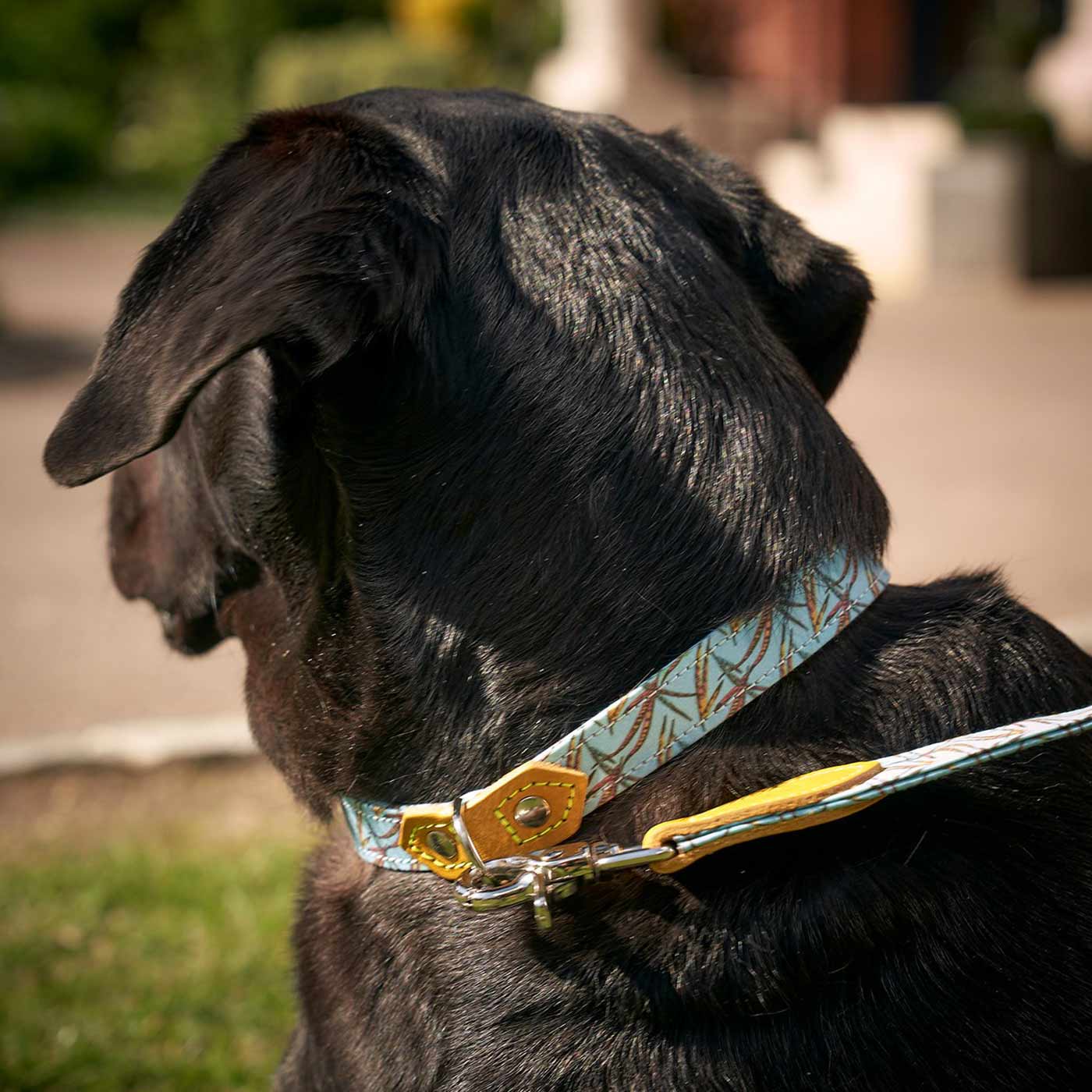 [color:pheasant] Set & accessorize your pooch ready for a stylish dog walk with Hiro + Wolf X L&L Dog Collar, the perfect dog walking accessory! Made using strong webbing lining to provide extra strength! Available in 3 stylish designs and 5 sizes at Lords & Labradors US