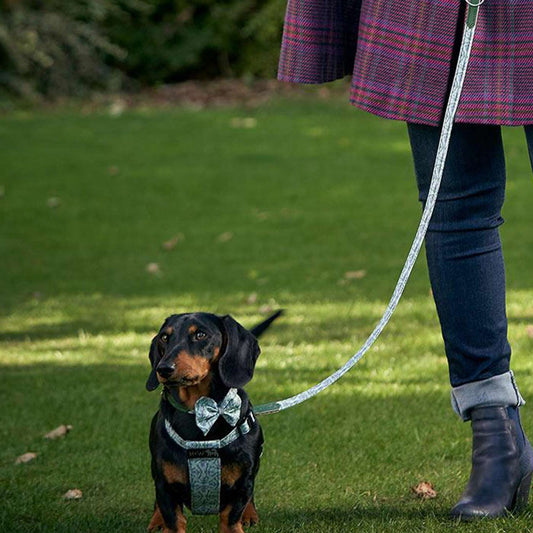 [color:stag]  Set & accessorize your pooch ready for a stylish dog walk with Hiro + Wolf X L&L Dog Leash, the perfect dog walking accessory! Made using strong webbing lining to provide extra strength! Available in 3 stylish designs and one sizes at Lords & Labradors US