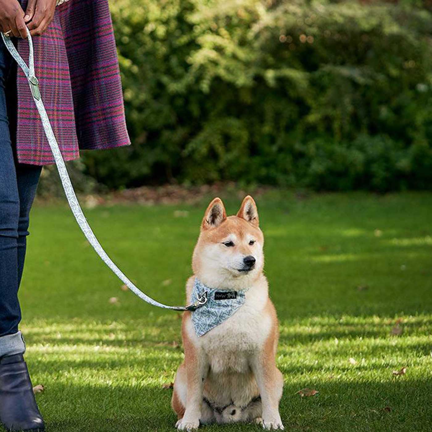 Wolf dog clearance leash