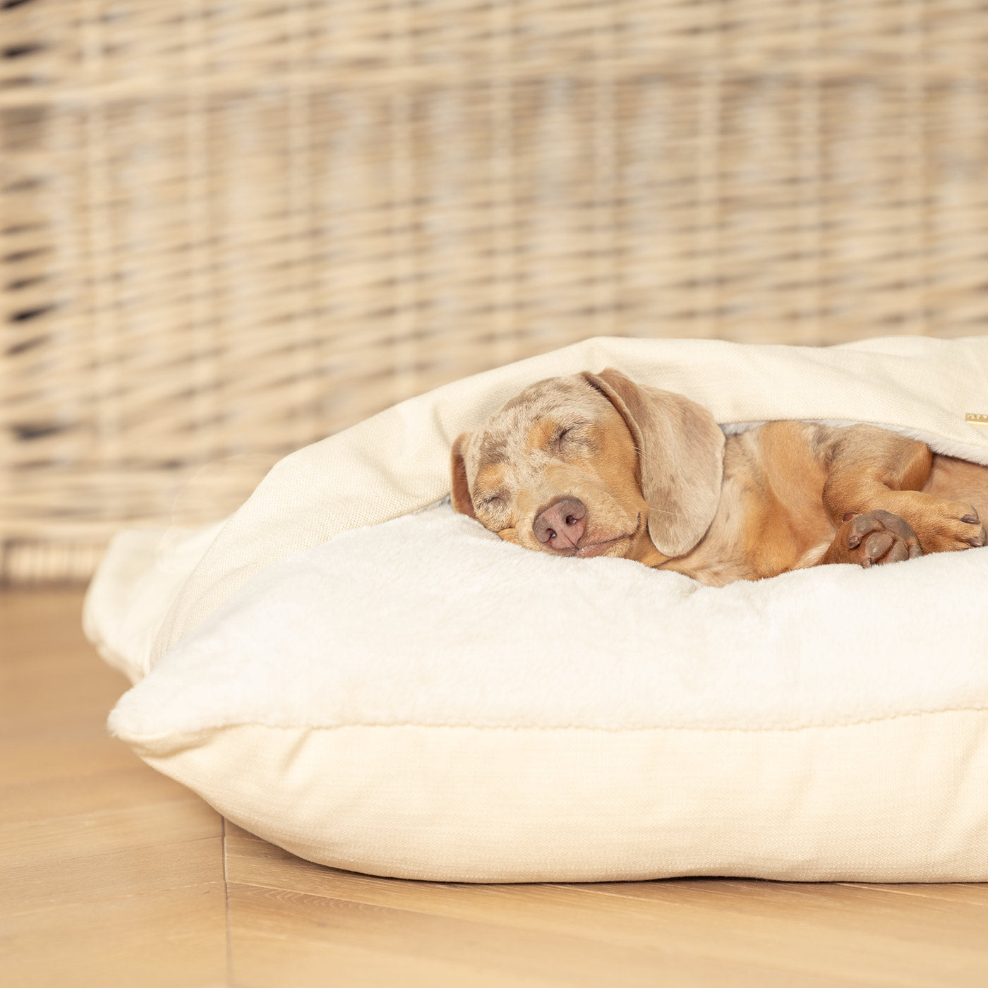 Discover The Perfect Burrow For Your Pet, Our Stunning Sleepy Burrow Dog Beds In Savanna Bone Is The Perfect Bed Choice For Your Pet, Available Now at Lords & Labradors US