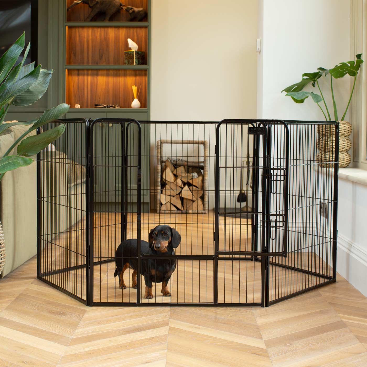 Ensure The Ultimate Puppy Safety with Our Heavy Duty 80cm High Black Metal Play Pen, Crafted to Take Your Pet Right Through Maturity! Powder Coated to Be Extra Hardwearing! 6 panels that are 80cm high and attachments to connect to any Cage. The modular system allows you to change the puppy pen shape with multiple layouts! Available To Now at Lords & Labradors US