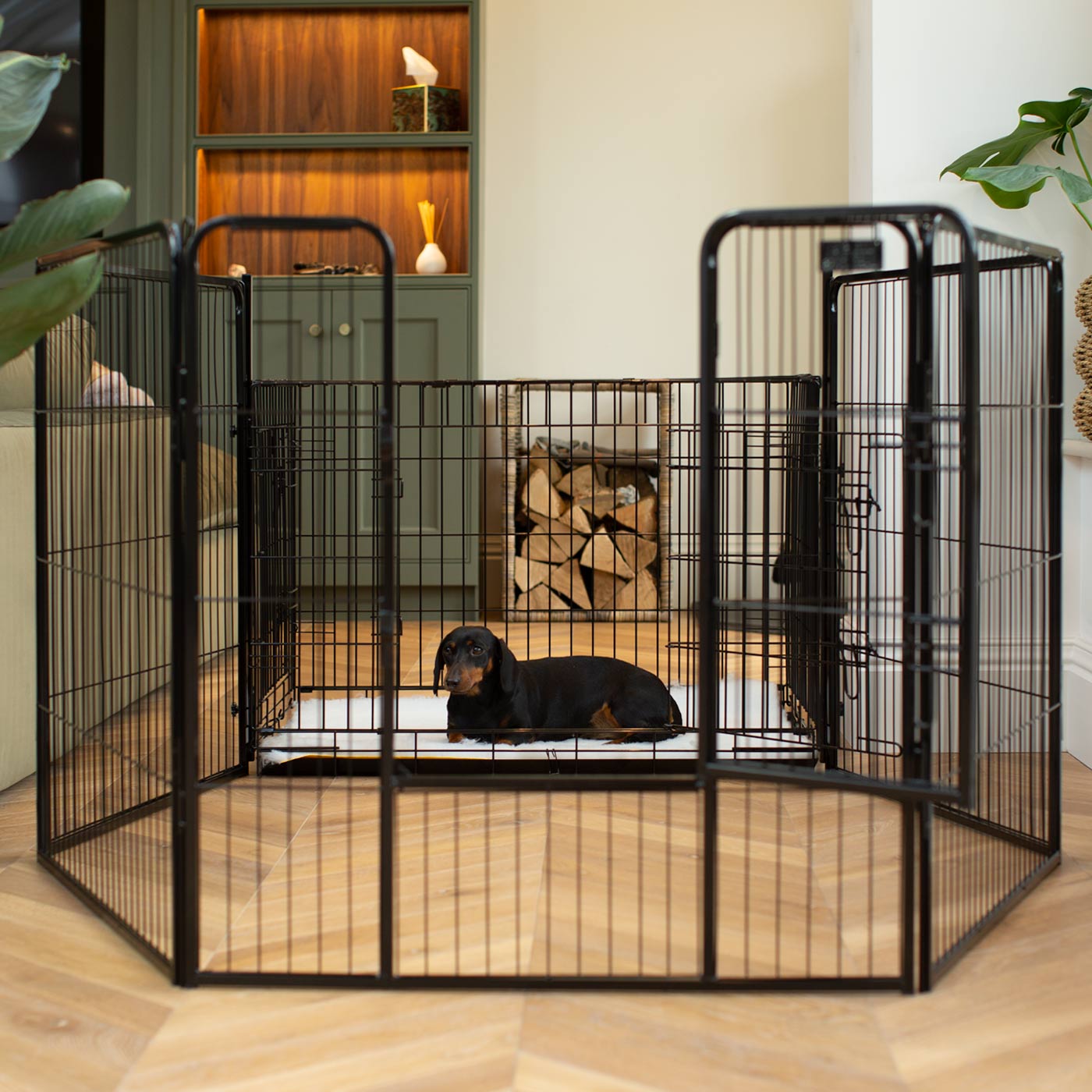 Ensure The Ultimate Puppy Safety with Our Heavy Duty 80cm High Black Metal Play Pen, Crafted to Take Your Pet Right Through Maturity! Powder Coated to Be Extra Hardwearing! 6 panels that are 80cm high and attachments to connect to any Cage. The modular system allows you to change the puppy pen shape with multiple layouts! Available To Now at Lords & Labradors US