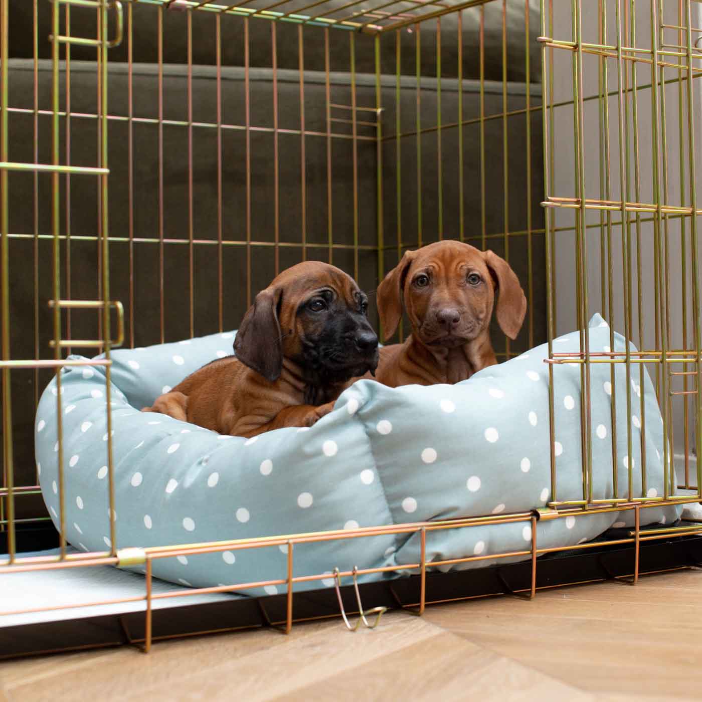 Cozy & Calming Puppy Cage Bed in Spots and Stripes, The Perfect Dog Cage Accessory For The Ultimate Dog Den! In Stunning Duck Egg Spot! Available To Personalize at Lords & Labradors US