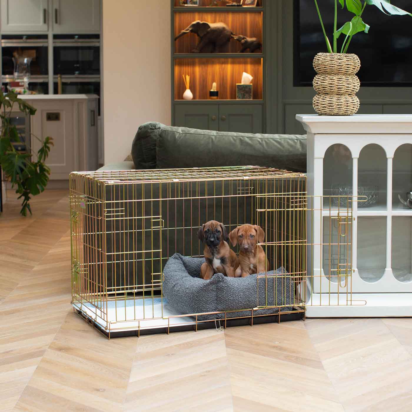  Discover Our Luxury Heavy-Duty Gold Dog Cage With Granite Bouclé Cozy & Calming Puppy Cage Bed Set! The Perfect Cage Bed For Pet Burrow. Available To Personalize Here at Lords & Labradors US