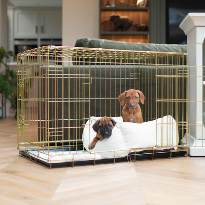 Discover Our Luxury Heavy-Duty Gold Dog Cage With Ivory Bouclé Cozy & Calming Puppy Cage Bed Set! The Perfect Cage Bed For Pet Burrow. Available To Personalize Here at Lords & Labradors US