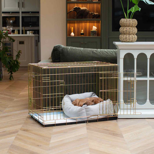 Luxury Gold Dog Cage With Cozy & Calm Puppy Cage Dog Bed, In Regency Stripe. The Perfect Dog Crate For The Ultimate Naptime, Available Now at Lords & Labradors US