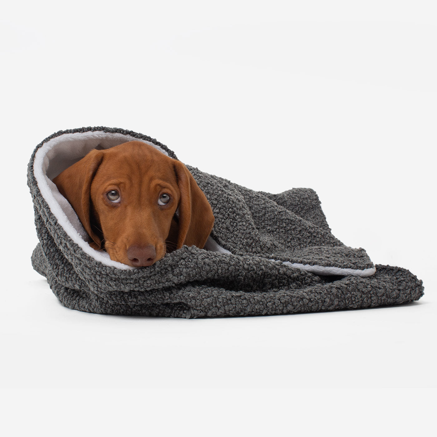 Discover Our Luxurious Dog Blanket In Luxury Granite Bouclé Super Soft Sherpa & Teddy Fleece Lining, The Perfect Blanket For Puppies, Available To Personalize And In 2 Sizes Here at Lords & Labradors US