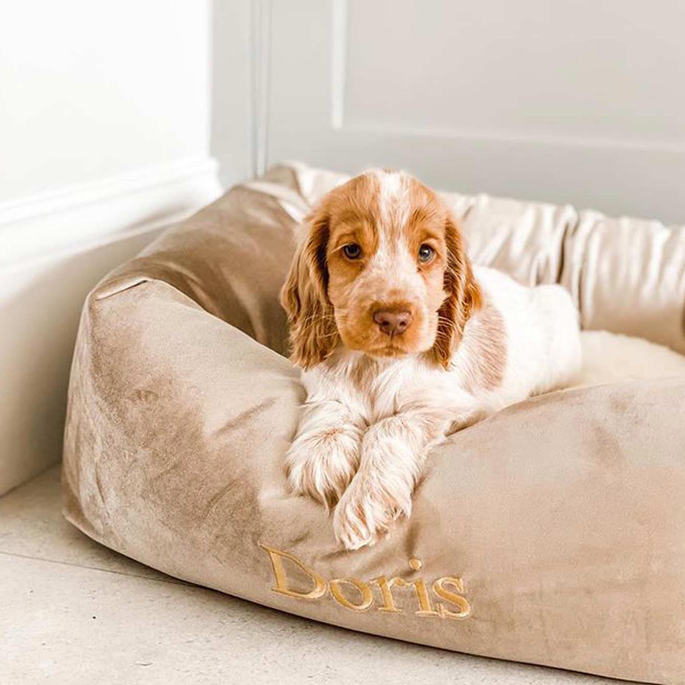 [color:mushroom velvet] Luxury Handmade Box Bed For Dogs in Velvet, in Mushroom Velvet. Perfect For Your Pets Nap Time! Available To Personalize at Lords & Labradors US