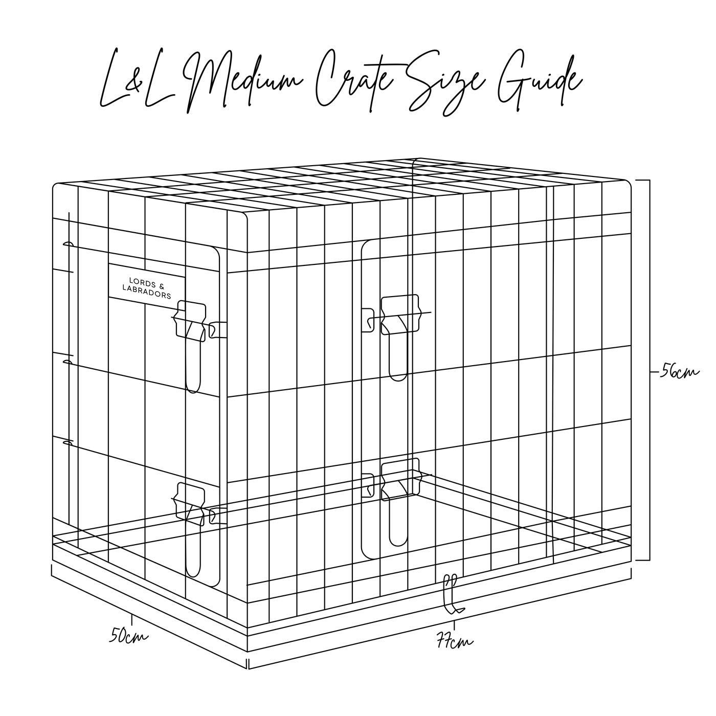 Lords and Labradors medium crate size guide illustration