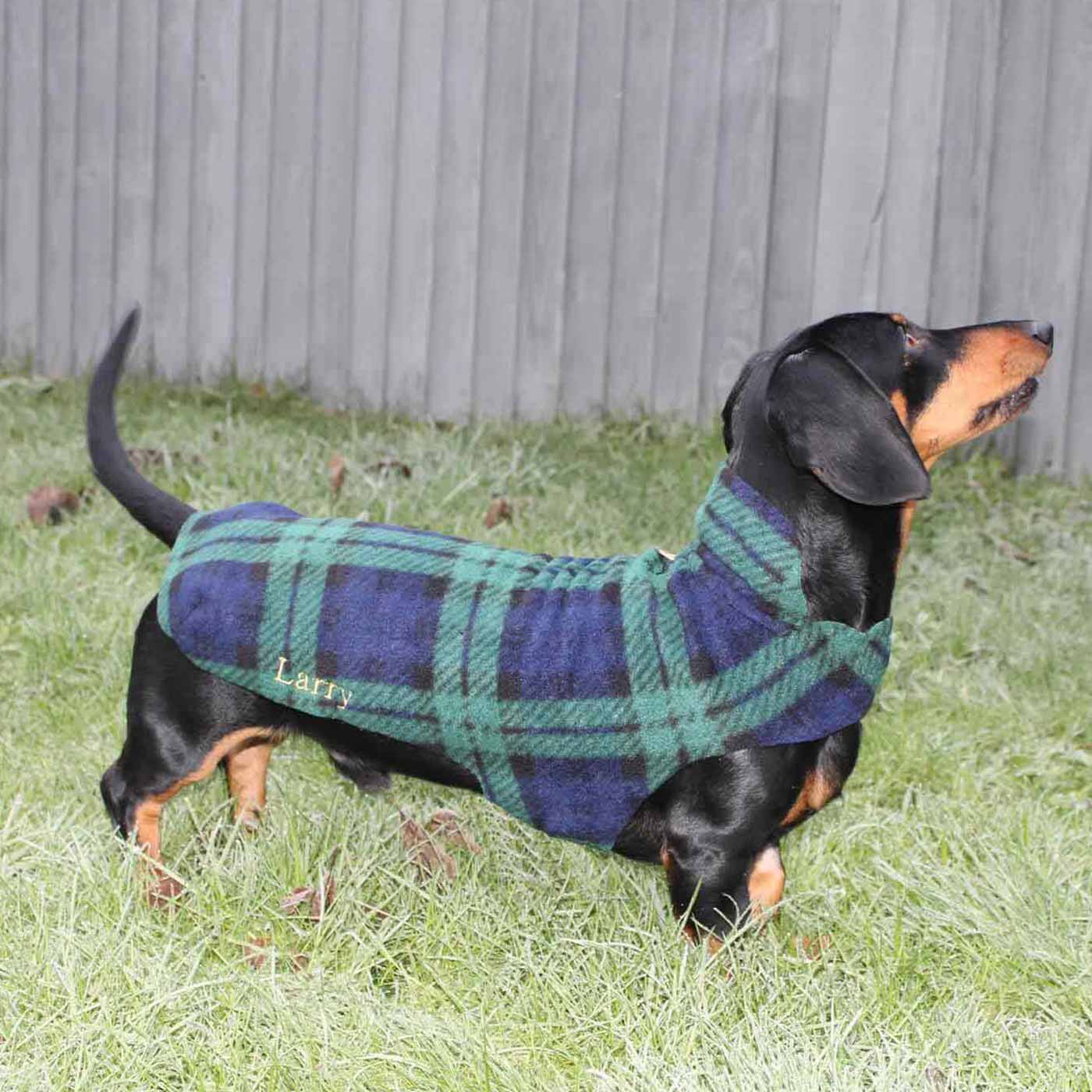 Miniature cheap dachshund fleece