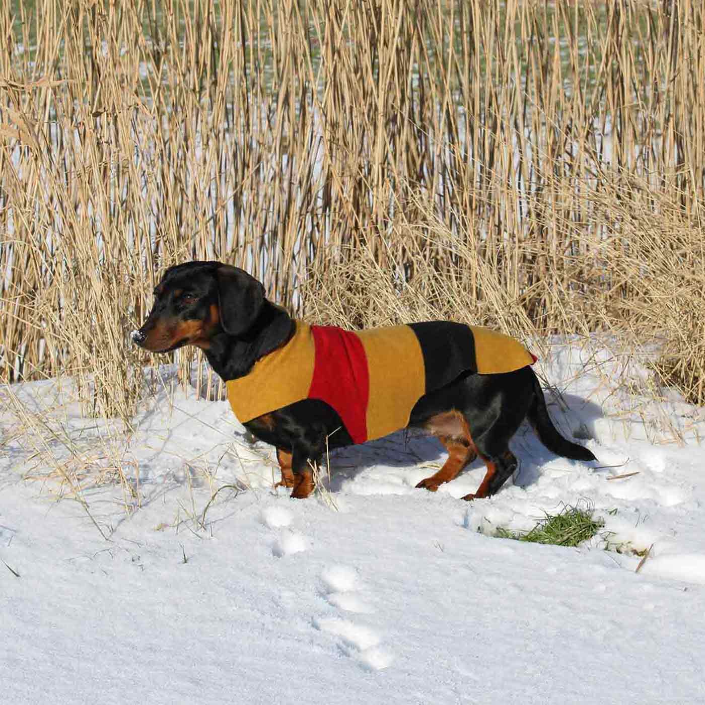 [color:newmarket]  Accessorize Your Pet, With Our Stunning Dachshund Fleece, in Newmarket! Comes In five Size, And Totally Machine Washable, Available To Personalize Now at Lords & Labradors US