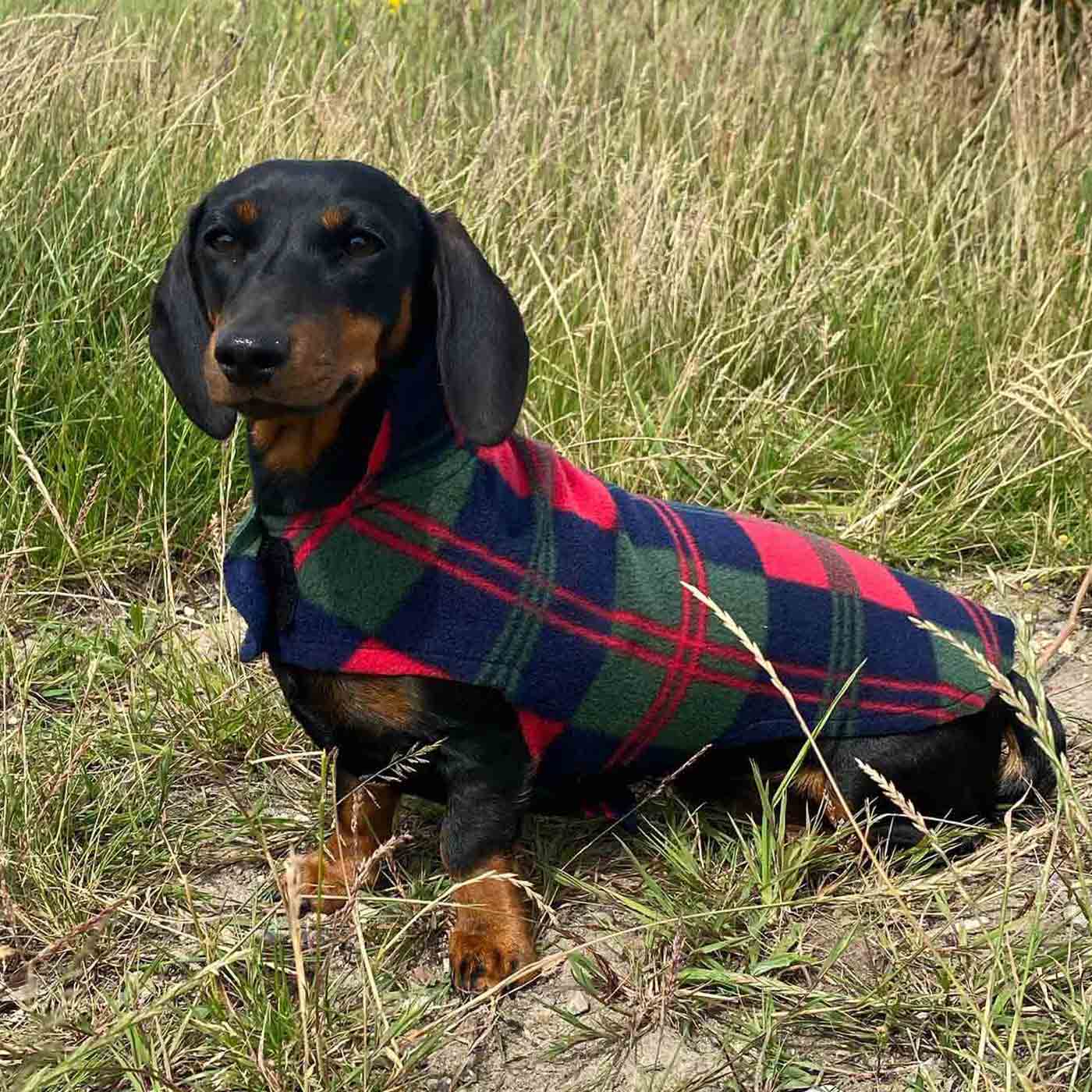 Miniature dachshund hotsell fleece coats