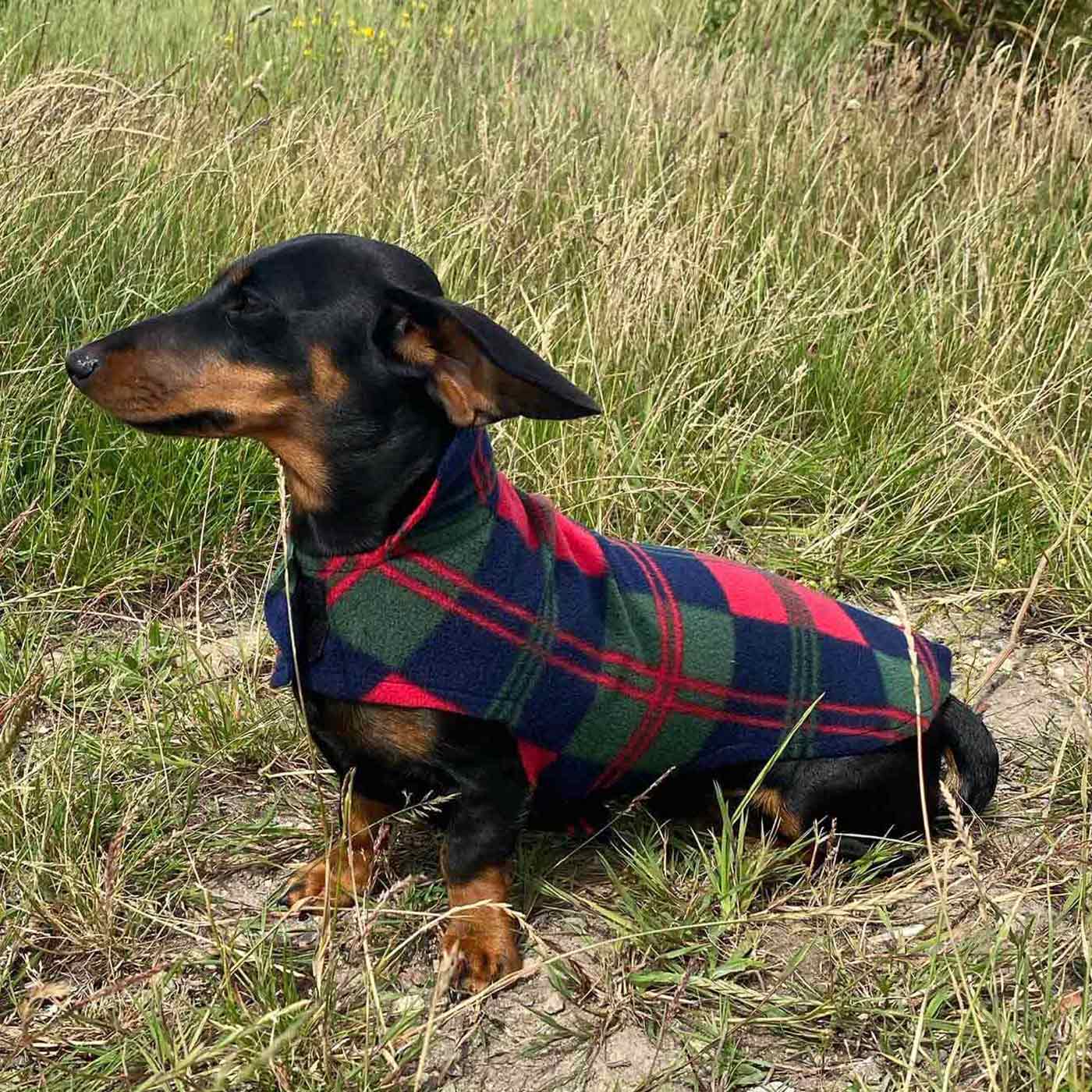 Dachshund Red Tartan Fleece Dog Coat Lords Labradors US