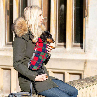 [color:red tartan]  Accessorize Your Pet, With Our Stunning Dachshund Fleece, in Red Tartan! Comes In five Size, And Totally Machine Washable, Available To Personalize Now at Lords & Labradors US