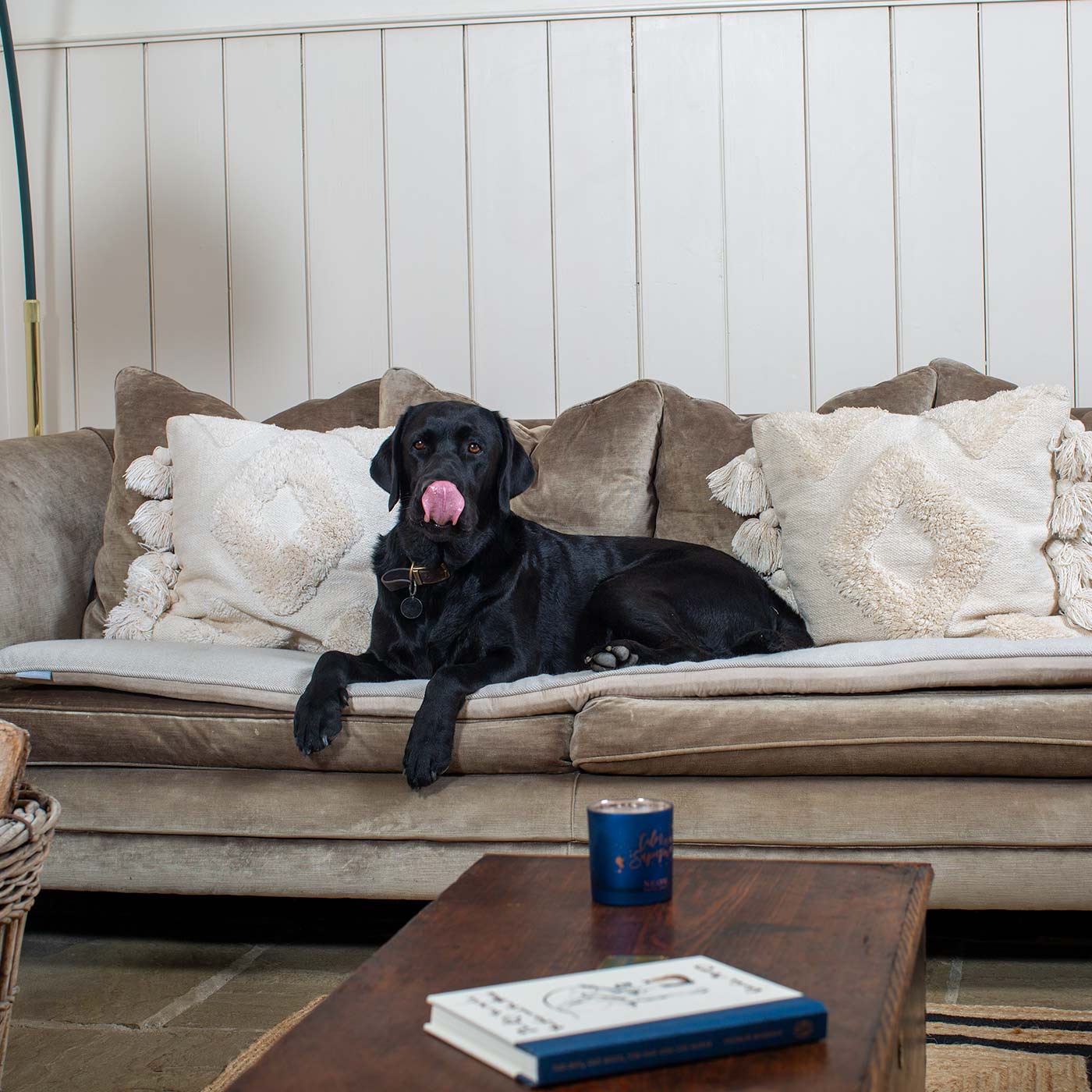 Discover Our Luxury Herringbone couch Topper, The Perfect Pet couch Accessory In Stunning Natural Herringbone Tweed! Available Now at Lords & Labradors US
