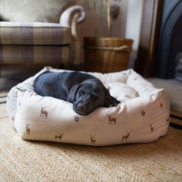 Luxury Products for Dogs & Cats | Lords & Labradors – Lords & Labradors USA