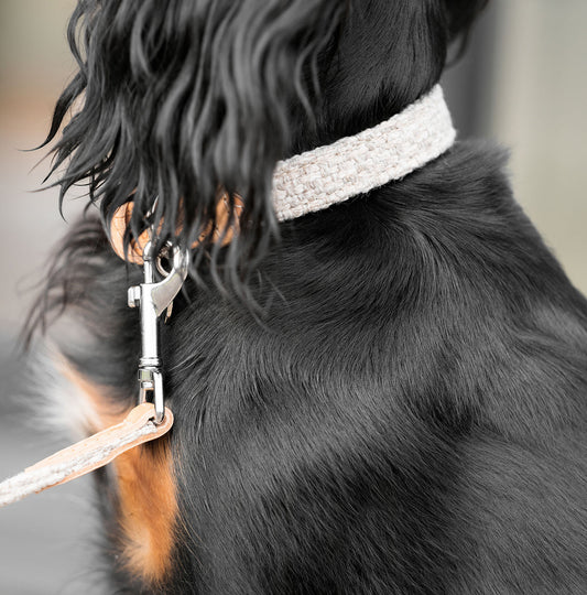 Discover dog walking luxury with our handcrafted Italian dog collar in beautiful sandstone with woven sand fabric! The perfect collar for dogs available now at Lords & Labradors US