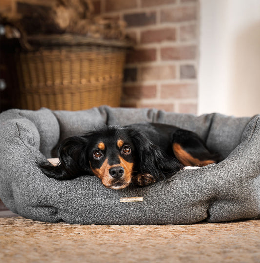  Discover our luxury Herdwick oval dog bed in beautiful graphite, the ideal choice for dogs to enjoy blissful nap-time, featuring reversible inner cushion with raised sides for dogs who love to rest their head for the ultimate cosiness! Handcrafted in Italy for pure pet luxury! Available now at Lords & Labradors US
