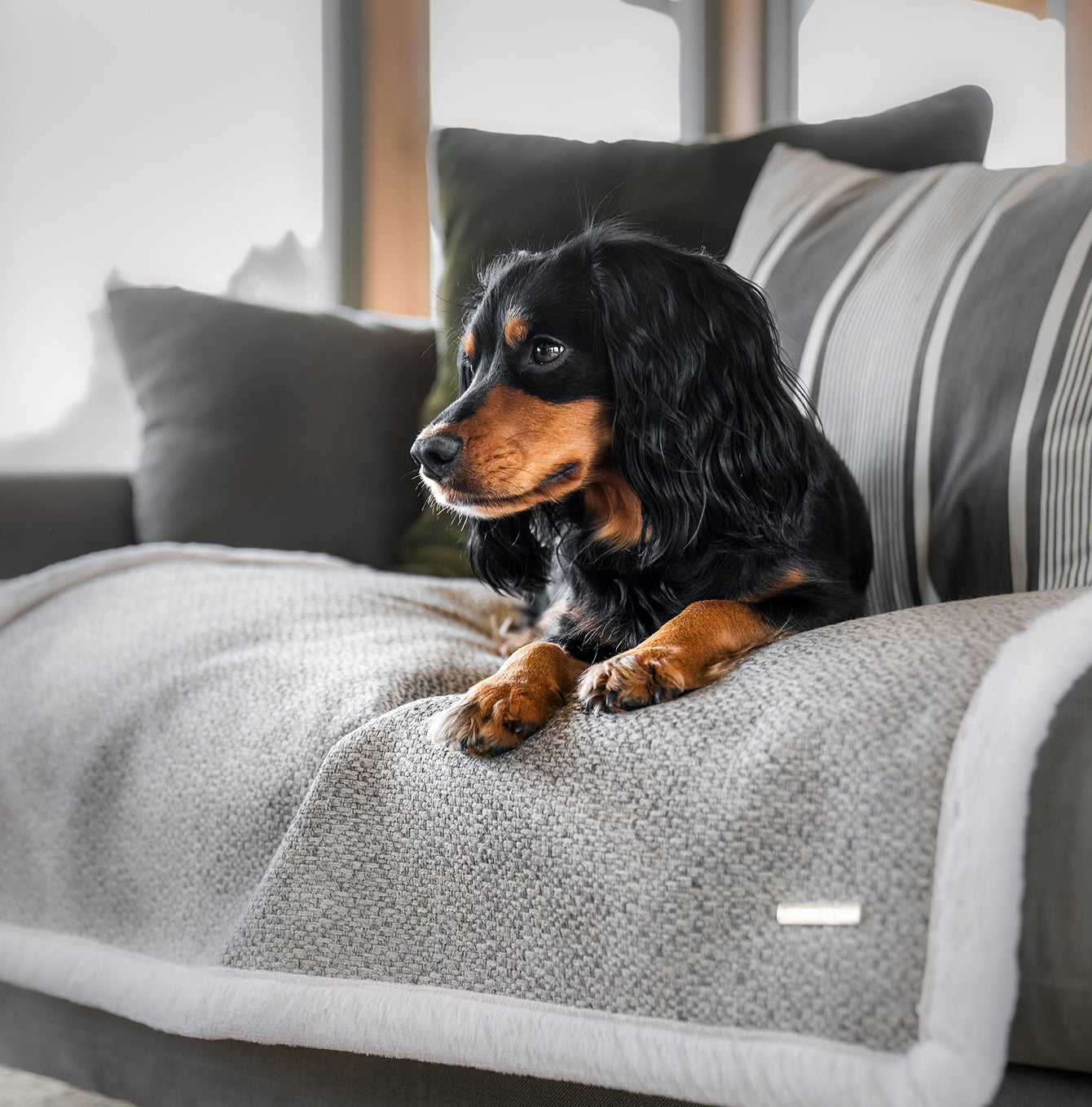 Present your furry friend with our luxuriously thick, plush blanket for your pet. Featuring a reverse side with hardwearing woven fabric handmade in Italy for the perfect high-quality pet blanket! Essentials Herdwick Blanket In Pebble, Available now at Lords & Labradors US