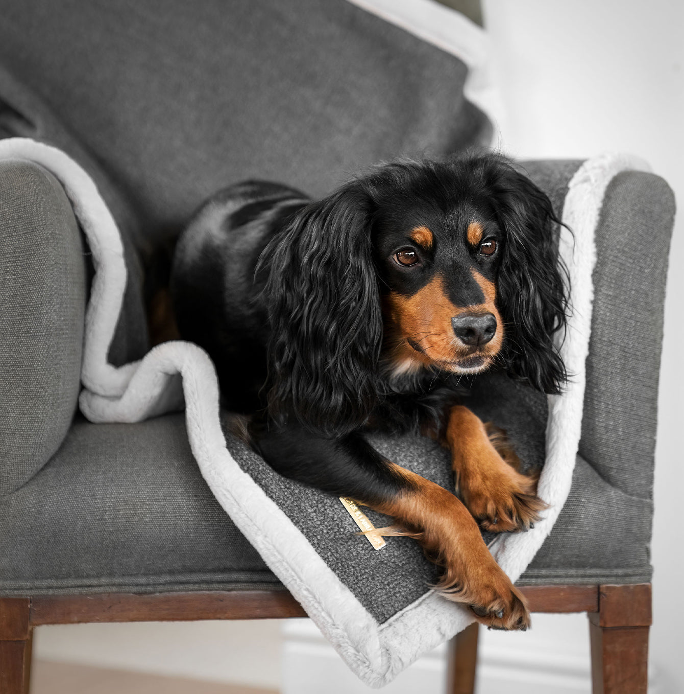 Present your furry friend with our luxuriously thick, plush blanket for your pet. Featuring a reverse side with hardwearing woven fabric handmade in Italy for the perfect high-quality pet blanket! Essentials Herdwick Blanket In Graphite, Available now at Lords & Labradors US