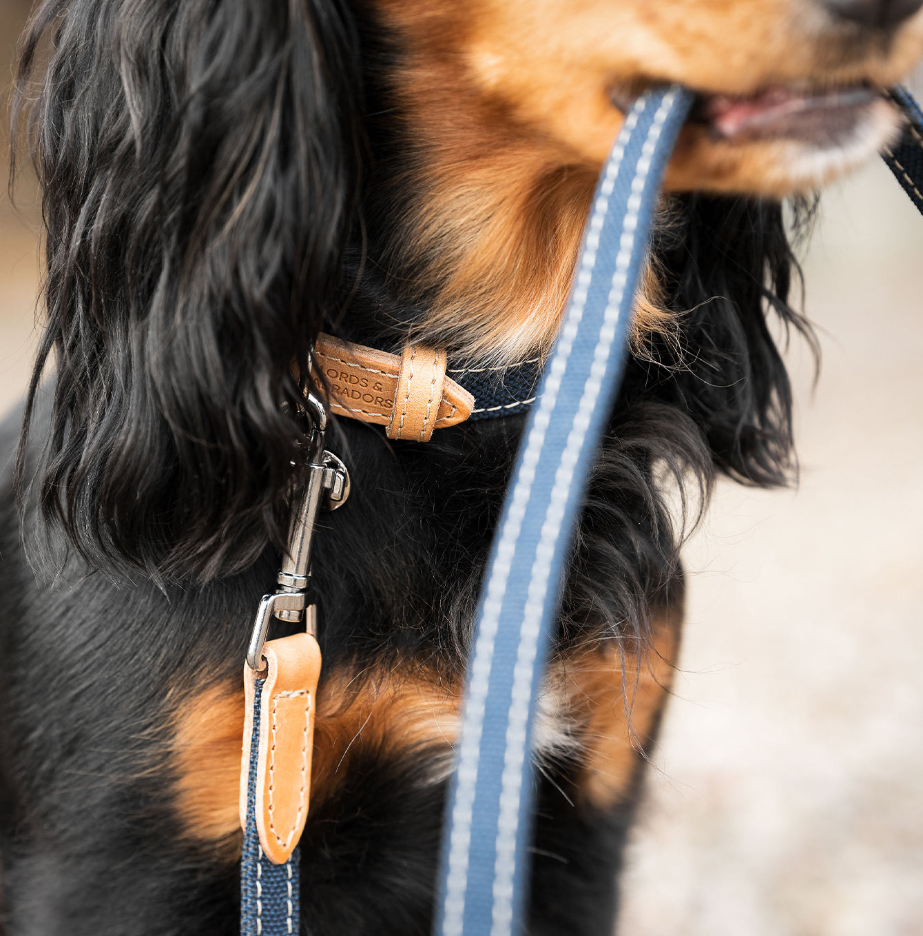 Lords & Labradors Essentials Twill Dog Leash Denim