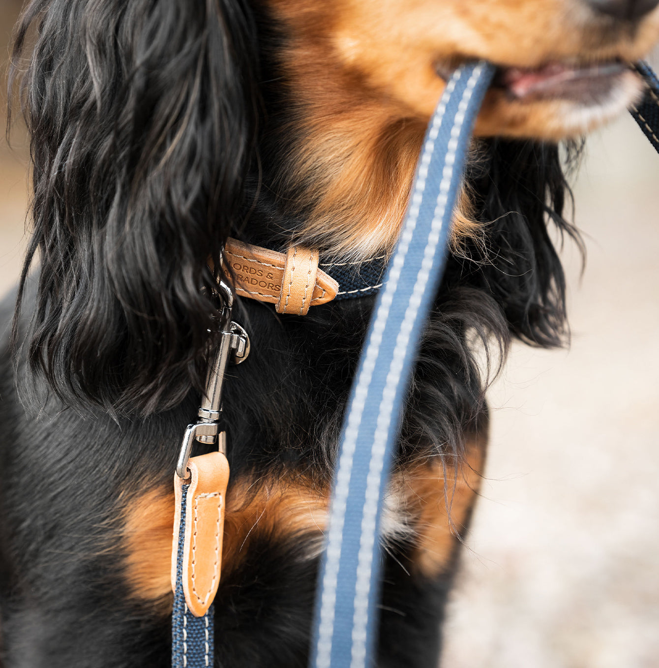 Discover dog walking luxury with our handcrafted Italian dog leash in beautiful essentials twill navy denim with denim blue fabric! The perfect leash for dogs available now at Lords & Labradors US