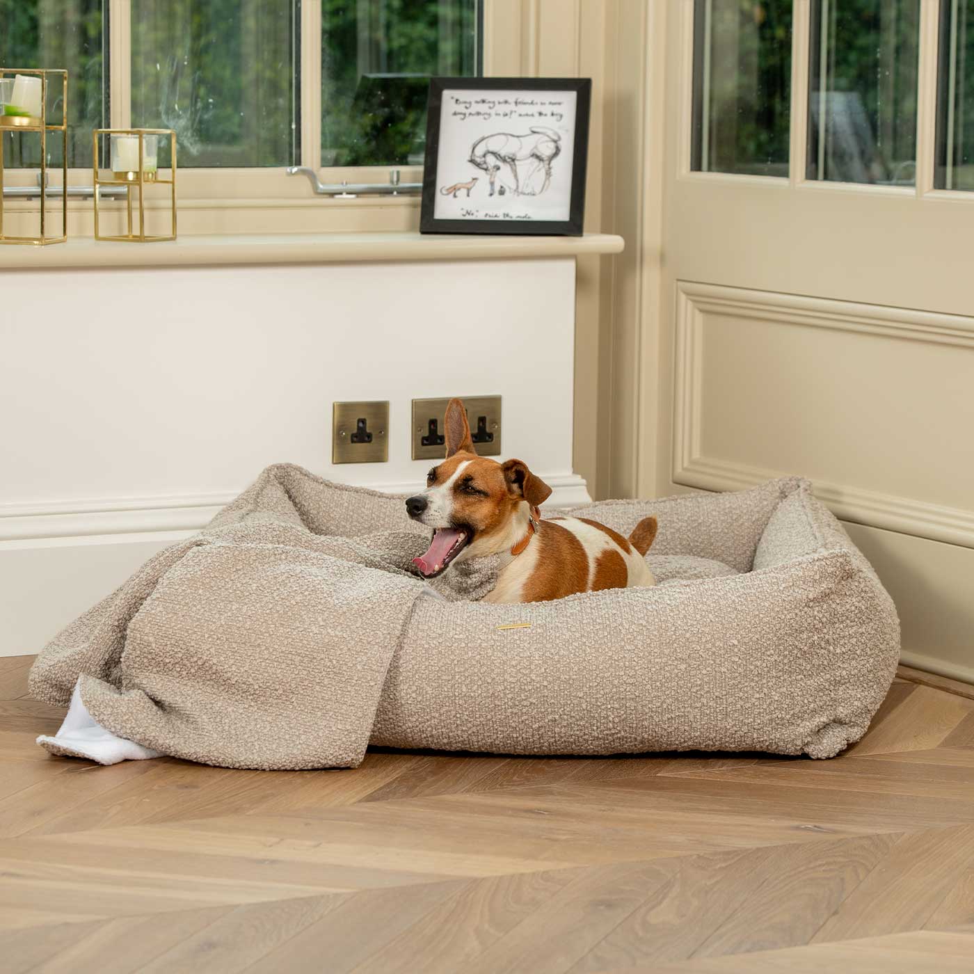 Whippet dog outlet bed