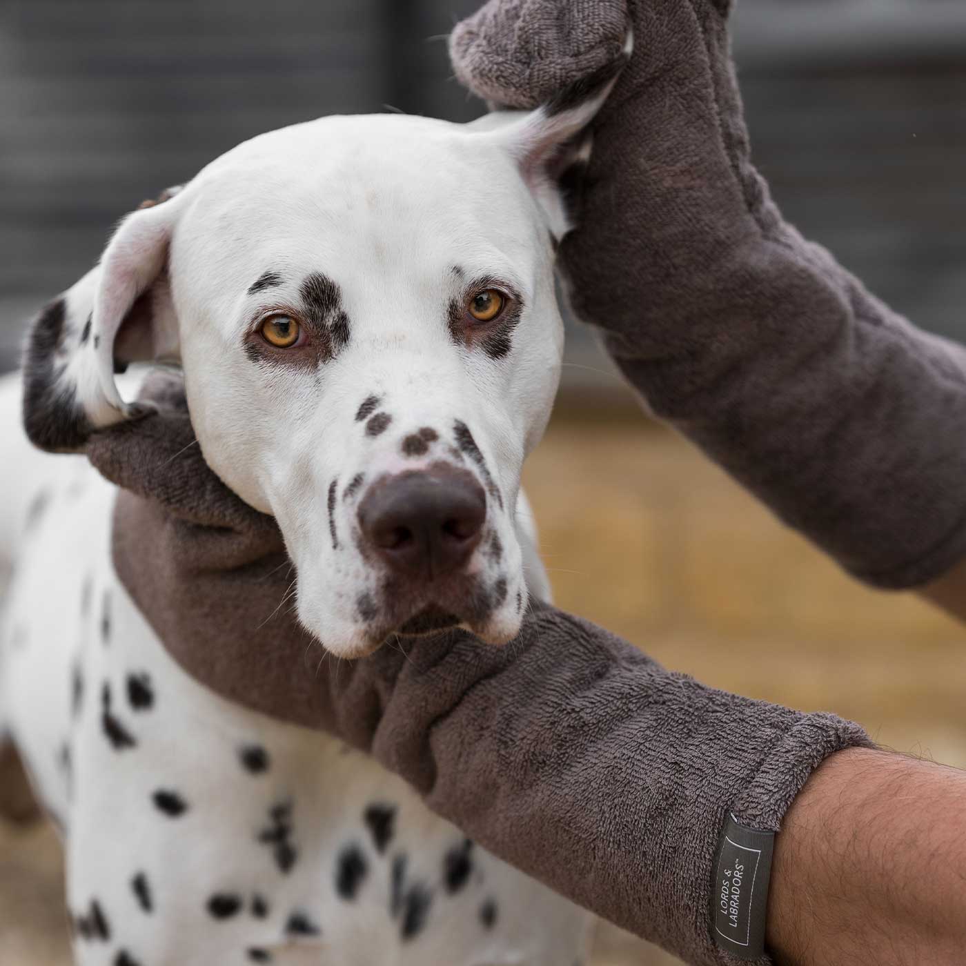 Introducing the ultimate bamboo dog drying mitts in beautiful Mole (Brown), made from luxurious bamboo to aid sensitive skin featuring universal size to fit all with super absorbent material for easy pet drying! The perfect dog drying gloves, available now at Lords & Labradors US, In four colors!