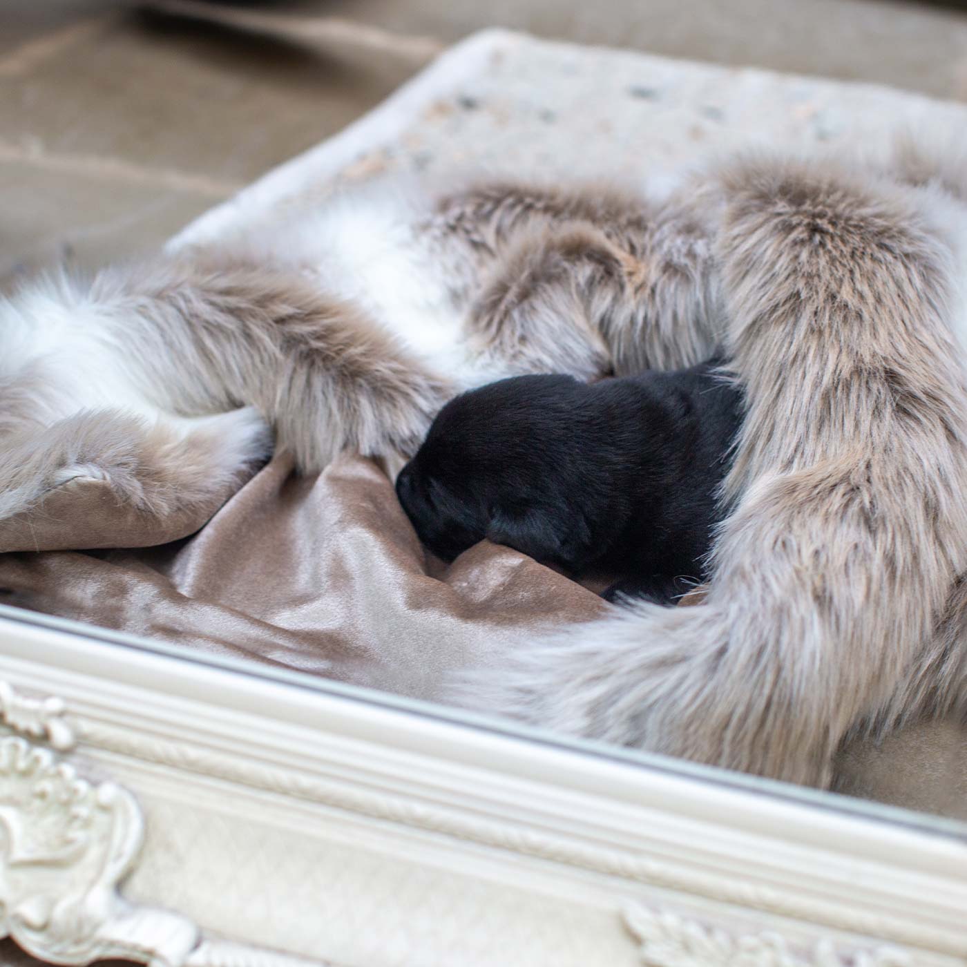 Discover Our Luxurious Mushroom Velvet & Reindeer Faux Fur Dog Blanket With Plush faux Fur Reverse, The Perfect Blanket For Dogs and Puppies, Available To Personalize And In 2 Sizes Here at Lords & Labradors US