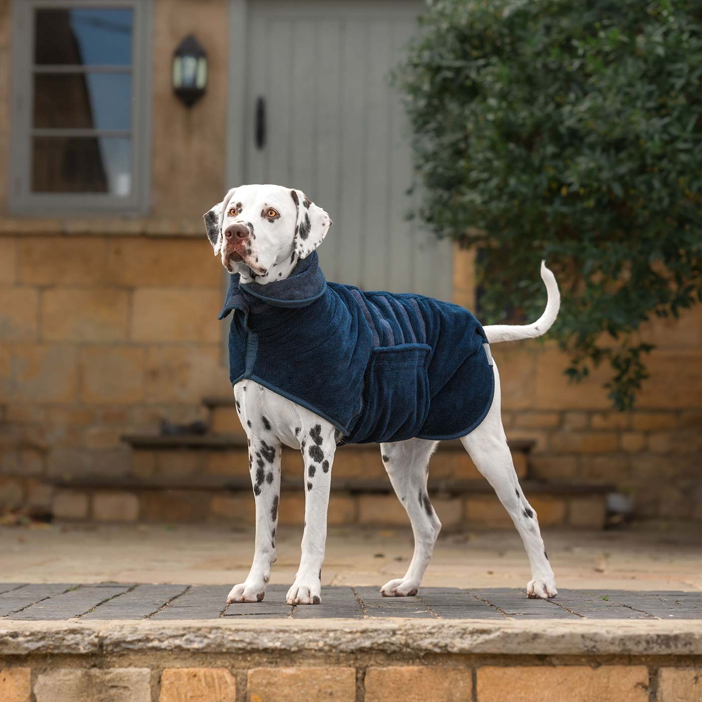 Discover the perfect dog drying with our bamboo dog drying coat in Navy The ideal choice for pet drying after walking and bath-time. Made using luxurious bamboo to aid sensitive skin! Available to personalize now at Lords & Labradors US, in 5 sizes and 4 beautiful colors