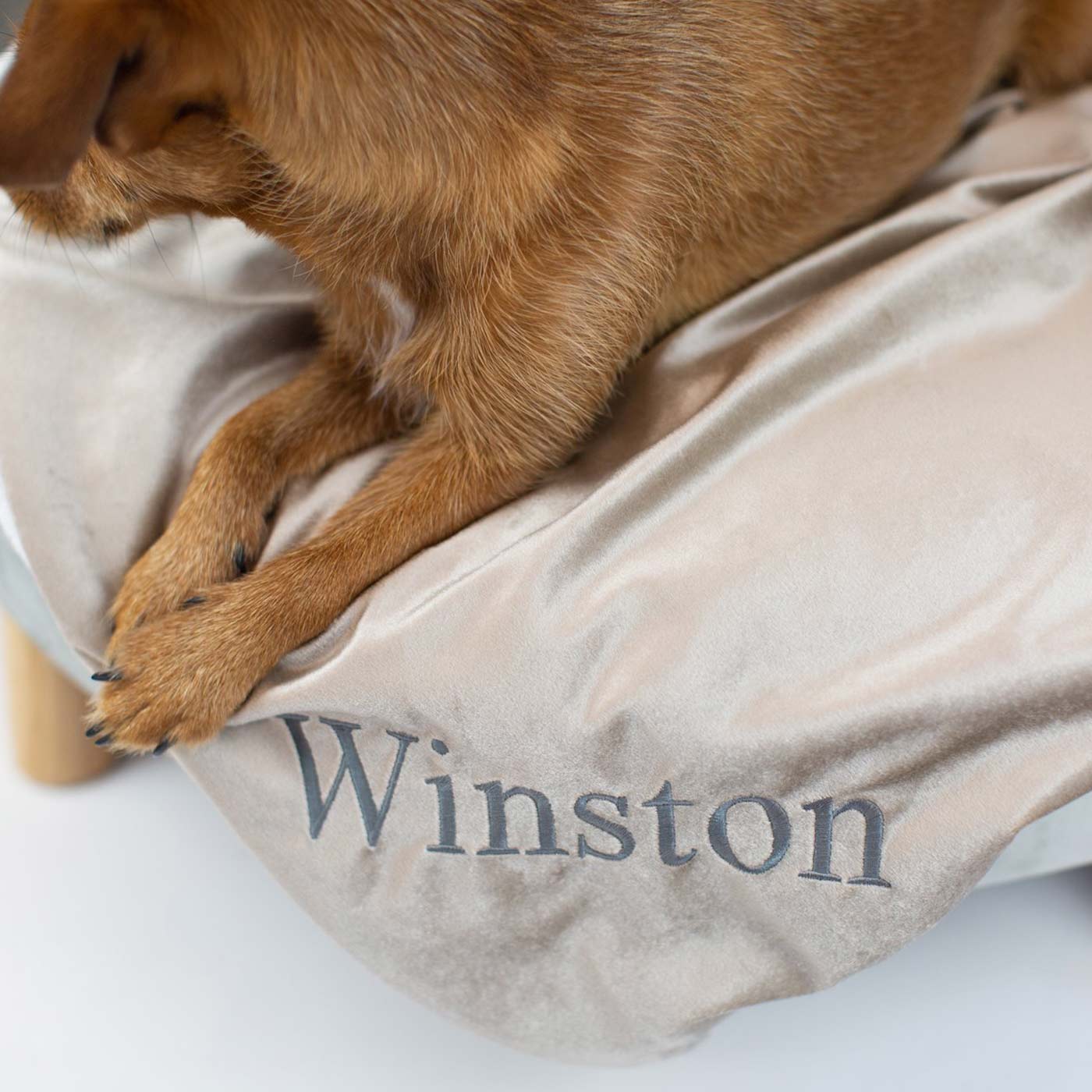 Discover Our Luxurious Mushroom Velvet Dog Blanket With Super Soft Sherpa & Teddy Fleece, The Perfect Blanket For Puppies, Available To Personalize And In 2 Sizes Here at Lords & Labradors US