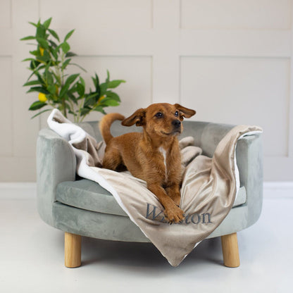 Discover Our Luxurious Mushroom Velvet Dog Blanket With Super Soft Sherpa & Teddy Fleece, The Perfect Blanket For Puppies, Available To Personalize And In 2 Sizes Here at Lords & Labradors US